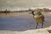Namibia_2013 (160)
