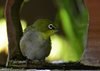 Namibia_2013 (189)