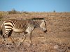Namibia_2013 (181)