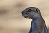 Namibia_2013 (140)