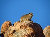 Namibia_2013 (179)