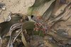 Namibia_2013 (130)