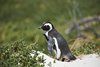 Namibia_2013 (209)