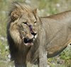 Namibia_2013 (47)