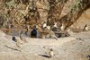 Namibia_2013 (170)
