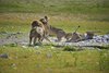 Namibia_2013 (43)