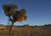 Namibia_2013 (150)