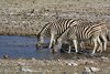 Namibia_Sep_2013 (149)