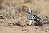 Namibia_Sep_2013 (77)
