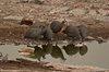 Namibia_Sep_2013 (166)