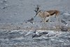 Namibia_Sep_2013 (107)