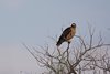 Namibia_Sep_2013 (110a)
