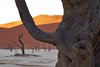 Namibia_Sep_2013 (22)