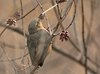Namibia_Sep_2013 (170)