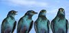 Namibia_sep_2013 (219)