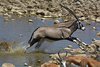 Namibia_Sep_2013 (119)