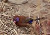 Namibia_Sep_2013 (168)