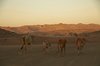 Namibia_Sep_2013 (84)