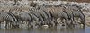 Namibia_Sep_2013 (112)