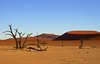 Namibia_Sep_2013 (25)