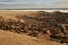 Namibia_Sep_2013 (60)