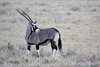 Namibia_Sep_2013 (105)