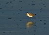 Namibia_Sep_2013 (71)