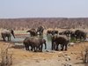 Namibia_Sep_2013 (142)