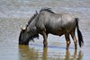 Namibia_Sep_2013 (117)