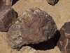 Namibia_Sep_2013 (88)