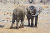 Namibia_Sep_2013 (145)