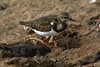 Namibia_Sep_2013 (69)