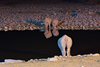 Namibia_Sep_2013 (98)