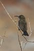 Namibia_Sep_2013 (164)