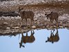 Namibia_Sep_2013 (133)