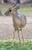 Namibia_Sep_2013 (196)