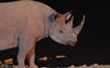 Namibia_Sep_2013 (99)