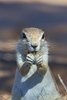 Namibia_Sep_2013 (27)