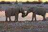 Namibia_Sep_2013 (97)