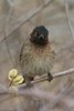 Namibia_Sep_2013 (167)