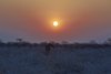 Namibia_Sep_2013 (159)