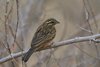 Namibia_Sep_2013 (161a)