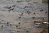 Namibia_Sep_2013 (155)