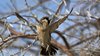 Namibia_Sep_2013 (136)