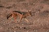 Namibia_Sep_2013 (157)