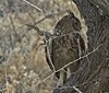 Namibia_Sep_2013 (153)
