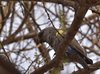 Namibia_Sep_2013 (203)