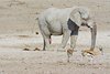 Namibia_Sep_2013 (128)