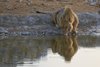 Namibia_Sep_2013 (109)