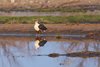 Namibia_Sep_2013 (158)
